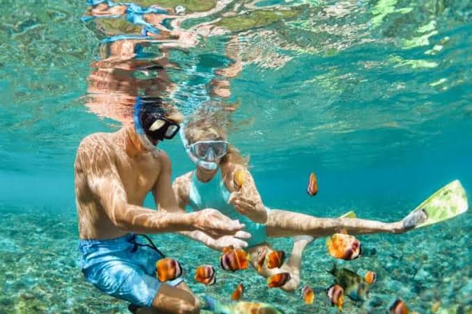 Snorkeling Excursion in Marsa Alam
